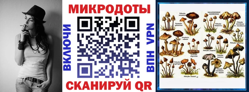 Галлюциногенные грибы Psilocybine cubensis  Купить  Орехово-Зуево 
